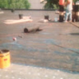 Meet your Posher, Walter